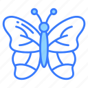 butterfly, animalia, rhopalocera, insect, creature, moth