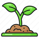 plant, sprout, farming, gardening, ecology, nature, germination