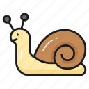 snail, animal, gastropod, slug, creature, shelled, specie