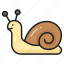 snail, animal, gastropod, slug, creature, shelled, specie 