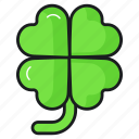 clover, plant, leaf, luck, fortune, shamrock, irish