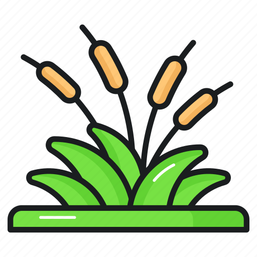 Reed, grass, botany, sedge, bulrush, bog, swamp icon - Download on Iconfinder