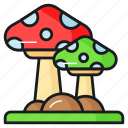 mushroom, mushrooms, fungi, toadstools, ingredient, organic, food