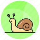 snail, animal, gastropod, slug, creature, shelled, specie