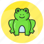 frog, animal, toad, anura, specie, creature, amphibian 