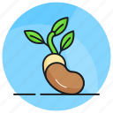 sprout, seed, plant, growth, green, seeding, nature
