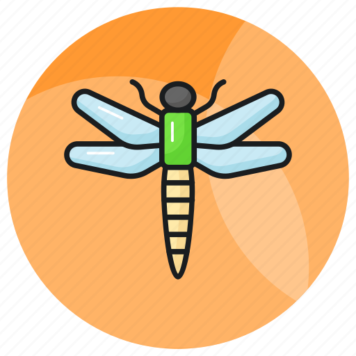 Dragonfly, bug, predatory, arthropoda, odonata, anisoptera, damselflies icon - Download on Iconfinder