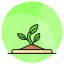 sprout, seed, plant, growth, green, seeding, nature 
