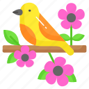 bird, sparrow, creature, flower, specie, passeridae, branch