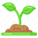 plant, sprout, farming, gardening, ecology, nature, germination