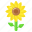 sunflower, flower, nature, floral, petals, helianthus, plant 