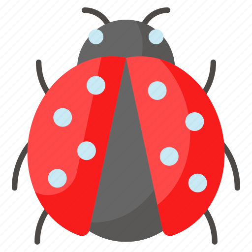 Ladybird, ladybug, coccinellidae, bug, beetle, insect, animal icon - Download on Iconfinder
