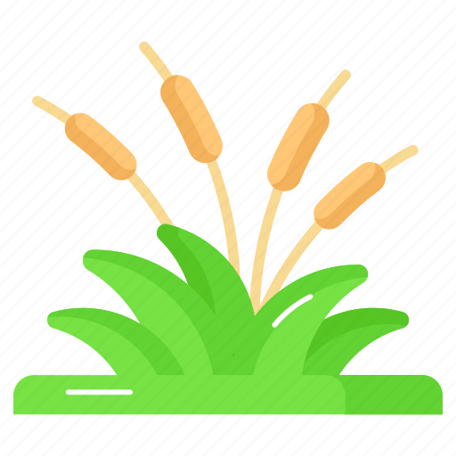 Reed, grass, botany, sedge, bulrush, bog, swamp icon - Download on Iconfinder