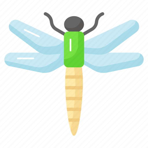 Dragonfly, bug, predatory, arthropoda, odonata, anisoptera, damselflies icon - Download on Iconfinder