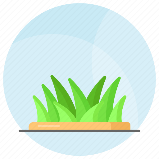 Grass, spring, green, summer, botany, ecology, eco icon - Download on Iconfinder