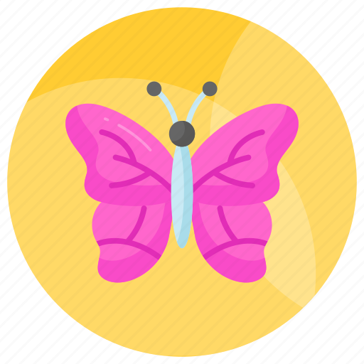 Butterfly, animalia, rhopalocera, insect, creature, moth icon - Download on Iconfinder