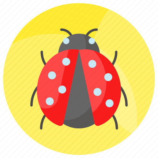 Ladybird, ladybug, coccinellidae, bug, beetle, insect, animal icon - Download on Iconfinder