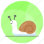 snail, animal, gastropod, slug, creature, shelled, specie 