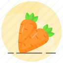 carrot, healthy, vegetable, organic, diet, food, daucus