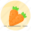 carrot, healthy, vegetable, organic, diet, food, daucus 