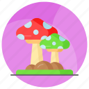 mushroom, mushrooms, fungi, toadstools, ingredient, organic, food
