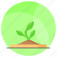 sprout, seed, plant, growth, green, seeding, nature 