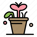 growth, leaf, plant, spring