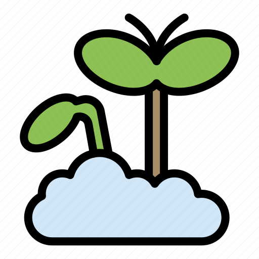 Growth, increase, maturity, plant icon - Download on Iconfinder