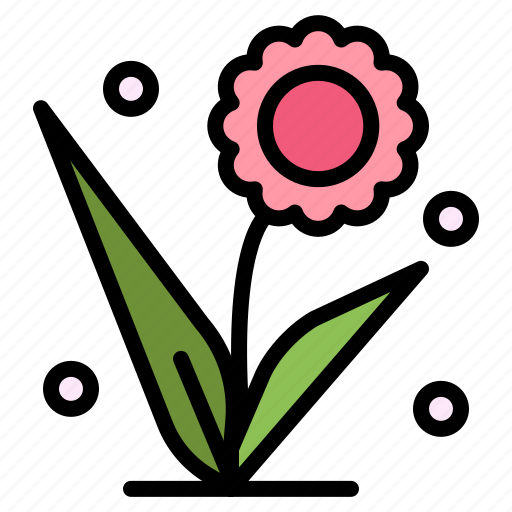 Flora, floral, flower, nature, spring icon - Download on Iconfinder