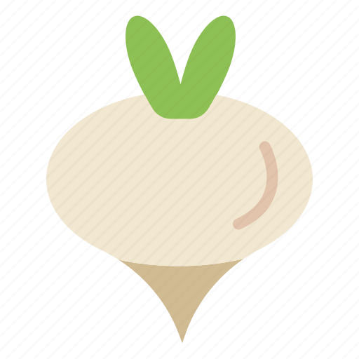 Food, spring, turnip, vegetable icon - Download on Iconfinder