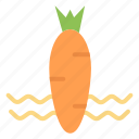 carrot, food, spring, vegetable