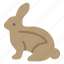 bunny, easter, rabbit 