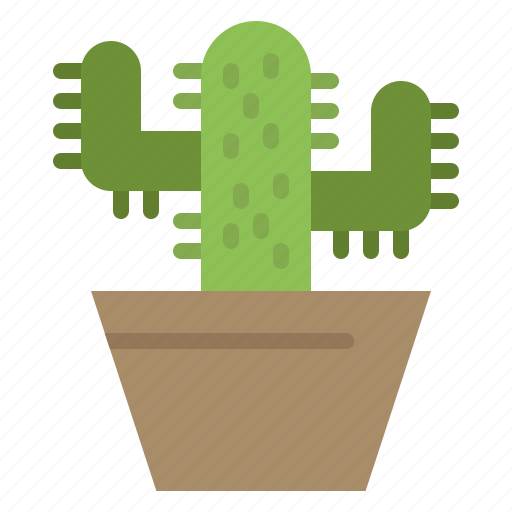 Cactos, nature, pot, spring icon - Download on Iconfinder