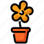 flower, nature, plant, pot, spring 