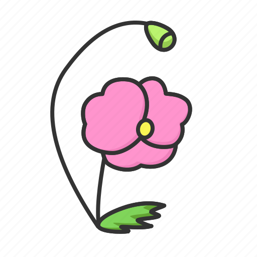 Flower, nature, plant, poppies, spring icon - Download on Iconfinder