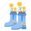 shoe, pot, flower, plant, garden, nature, shoes, spring, sunflower 