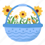sunflower, plant, spring, flower, easter, cute basket, floral, garden, gardening 