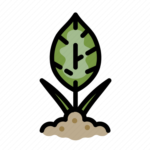 Eco, nature, tropical plant, growth, leaf, ecology, environment icon - Download on Iconfinder