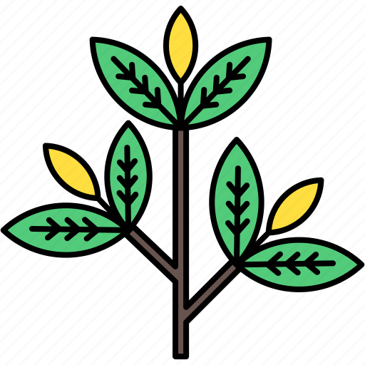 Branch, plant, nature, tree icon - Download on Iconfinder