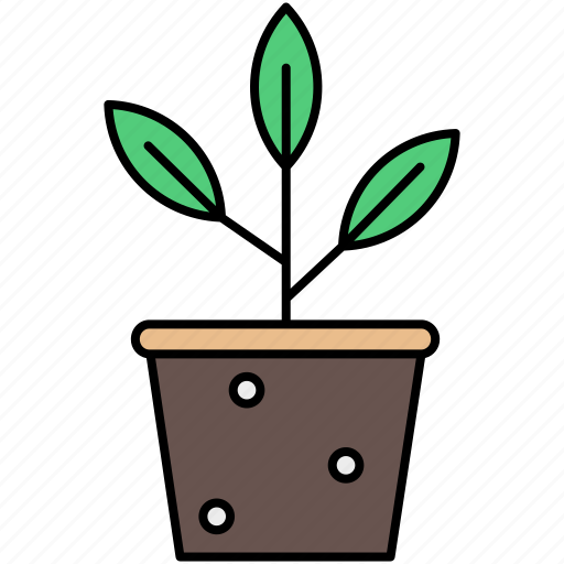 Plant, nature, tree, ecology icon - Download on Iconfinder