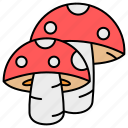 mushroom, vegetable, food, restaurant 