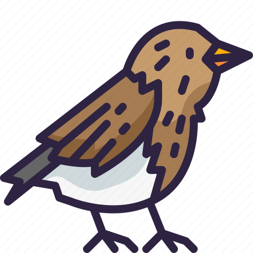 Bird, zoo, animal, animals, ornithology icon - Download on Iconfinder