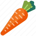carrot, vegetable, food, vegetarian, organic, vegan, healthy, diet