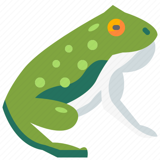Frog, animal, amphibian, wildlife, kingdom, animals icon - Download on Iconfinder