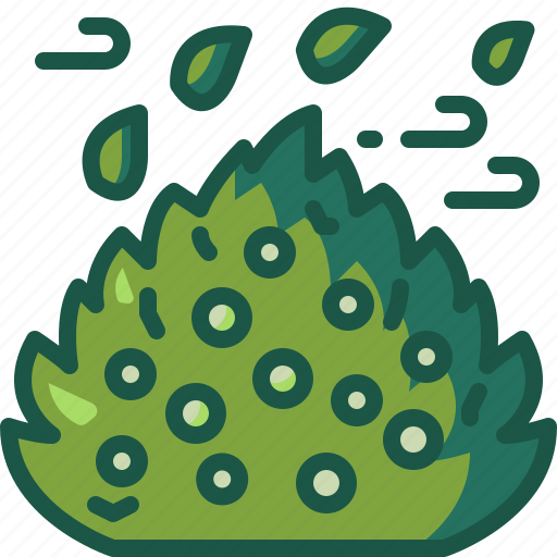 Bush, jungle, tree, plant, rainforest, tropical, forest icon - Download on Iconfinder