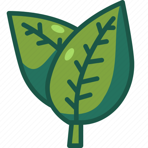 Leaf, plant, leaves, nature, garden, botanical icon - Download on Iconfinder