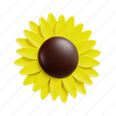 sunflower petal, sunflower, flower, botanical, blossom, plant, floral 