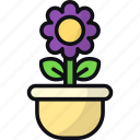 flower pot, decoration, garden, floral, plant pot