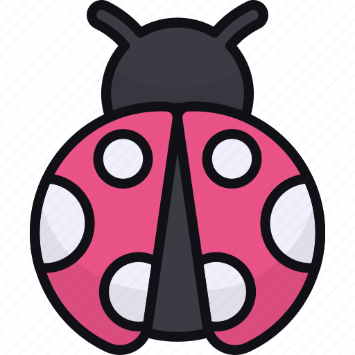 Ladybug, bug, beetle, animal, insect, ladybird icon - Download on Iconfinder