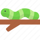 caterpillar, wildlife, animal, worm, insect